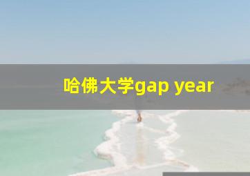 哈佛大学gap year